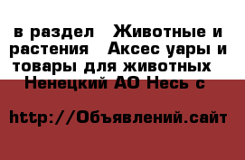  в раздел : Животные и растения » Аксесcуары и товары для животных . Ненецкий АО,Несь с.